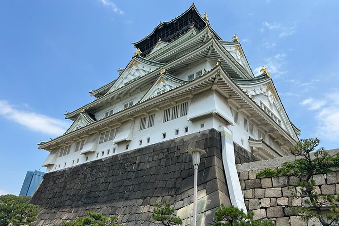 Osaka Castle Walking Tour and Castle Tower Admission - Price and value: what you really pay for
