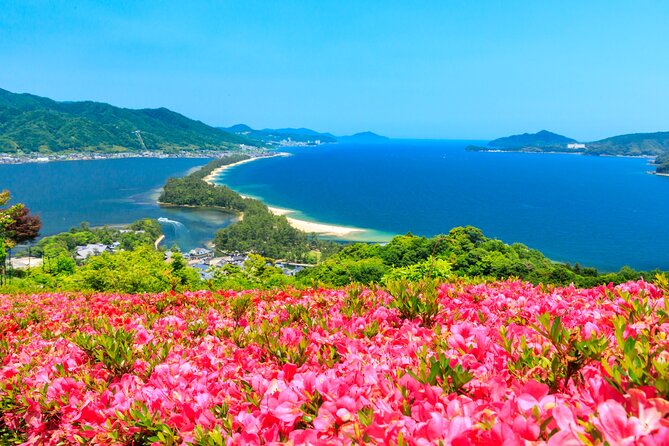 Osaka Day Tour: Amanohashidate & Ine Bay - Quick hits on Amanohashidate and Ine Bay