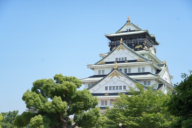 Osaka Early Morning Tour with English-Speaking Guide Dotonbori - Stop 6: Hozen-ji Temple, Mossy Fudo Myo-o, and a Quiet Reset