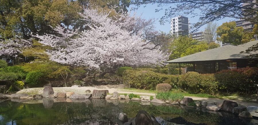 Osaka: Full-Day Sightseeing Tour by Private Vehicle - Guide quality makes or breaks the day, and this one leans strong
