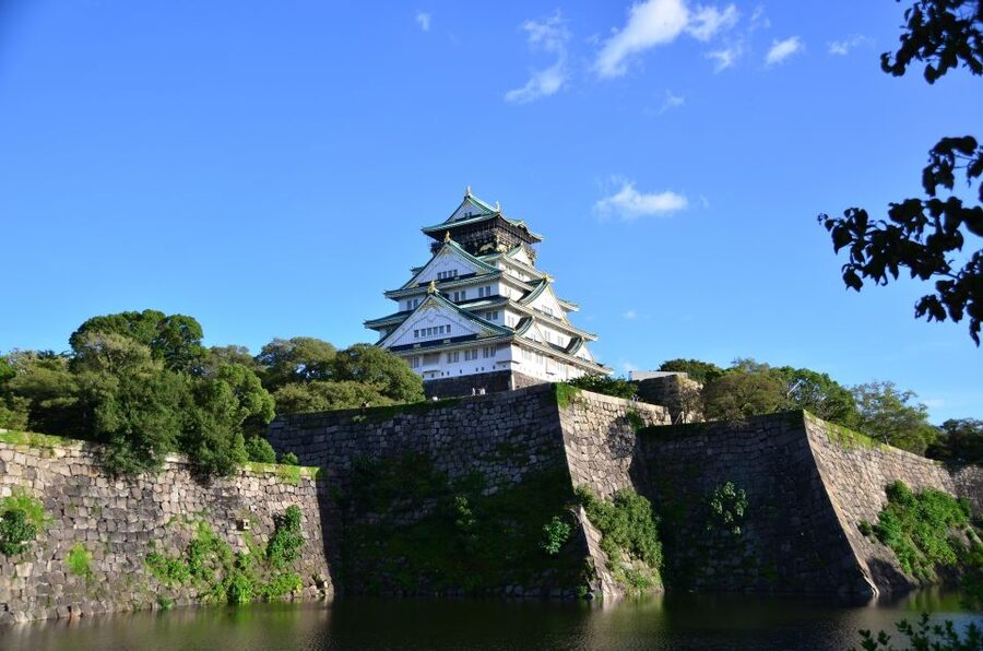 Osaka: Full-Day Sightseeing Tour by Private Vehicle - Osaka Castle: the view, the grounds, and the story behind the walls