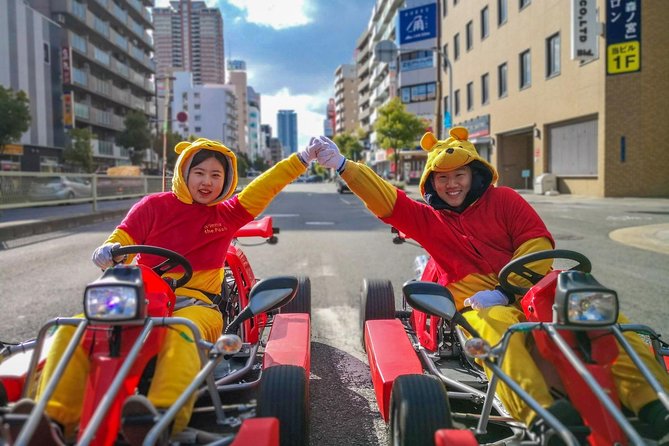 Osaka Go Karting Tour with Funny Costume - Price and what you actually get for the money