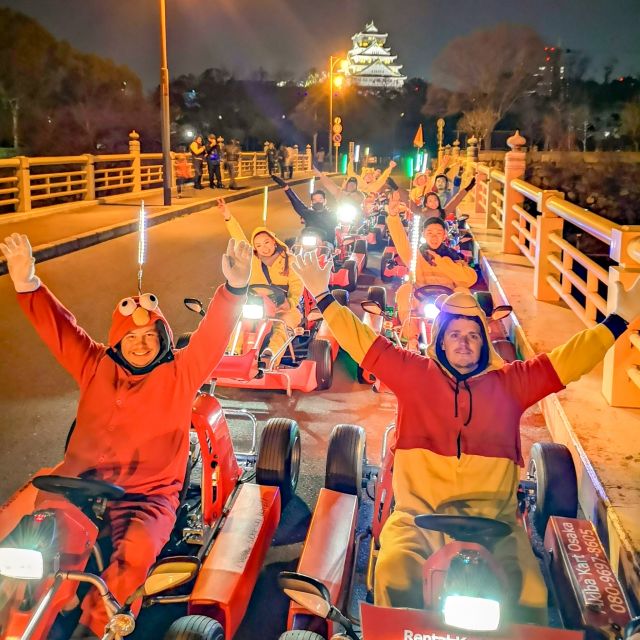 Osaka: Guided Go Karting Tour in a Funny Costume - Who This Tour Suits Best (And Who Might Want to Skip It)