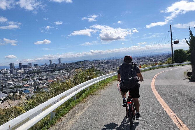 Osaka Half-day E-bike Adventure: Minoh Falls & Katsuoji Temple - Key highlights at a glance