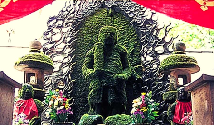 Osaka: Hotspots & Hidden Gems Walking Tour Private or Group - Takoyaki start in Dotonbori: neon, river views, and an easy first win