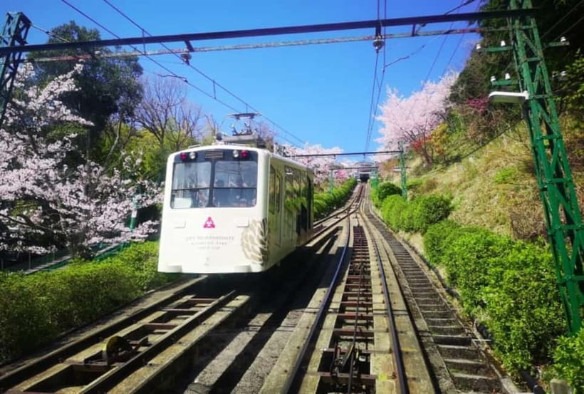 Osaka/Kyoto: Amanohashidate & Miyama Tour with Boat & Lunch - Price and value: $71 is mainly about transport plus tickets plus lunch