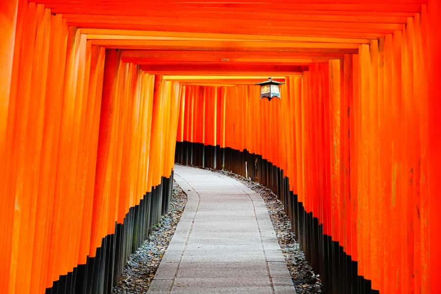 Osaka/Kyoto: Arashiyama, Nara & Fushimi Inari Shrine w/Lunch - Kyoto Wasabi lunch: Kobe shabu-shabu in a long-running townhouse