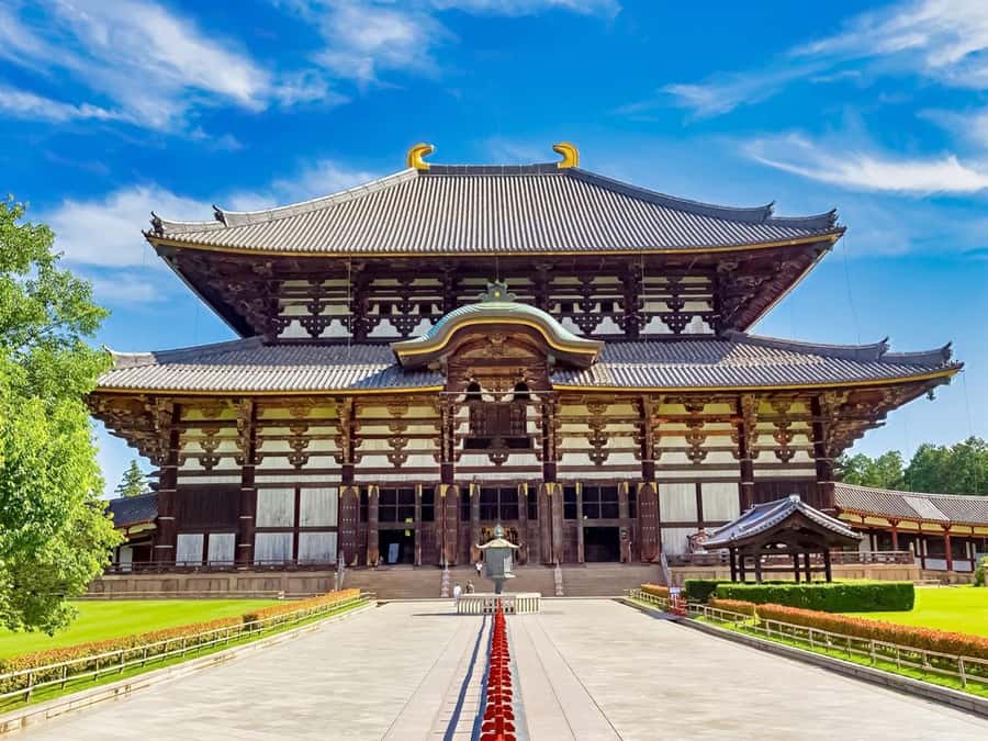 Osaka/Kyoto: Arashiyama, Nara & Fushimi Inari Shrine w/Lunch - Practical tips to make your day smoother