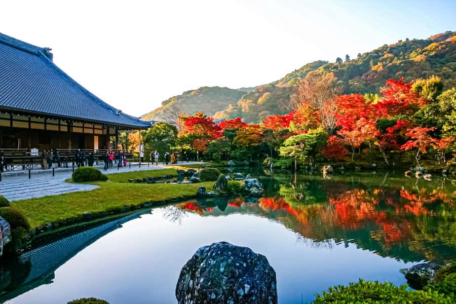 Osaka/Kyoto: Arashiyama, Nara & Fushimi Inari Shrine w/Lunch - Should you book this Osaka or Kyoto Arashiyama, Nara, and Fushimi Inari day trip?