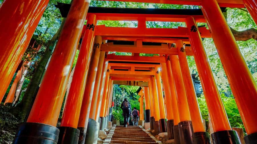 Osaka/Kyoto:Kinkakuji,Arashiyama,FushimiInariShrine,NaraPark - Key things that make this tour worth your time