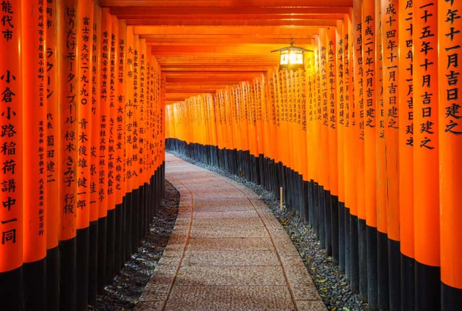 Osaka/Kyoto:Kinkakuji,Arashiyama,FushimiInariShrine,NaraPark - A one-day hit list of Kansai icons, starting from Osaka or Kyoto
