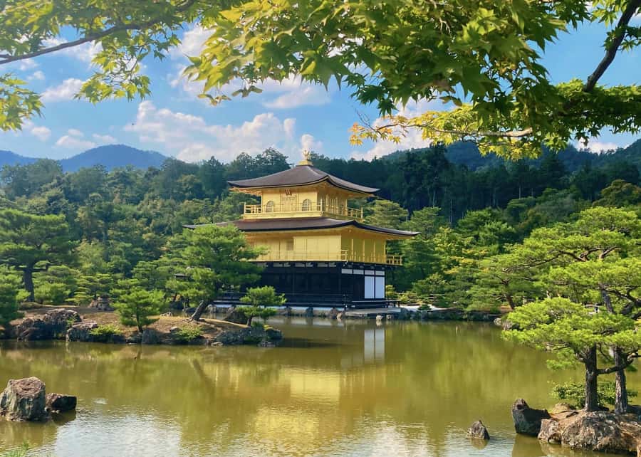 Osaka/Kyoto:Kinkakuji,Arashiyama,FushimiInariShrine,NaraPark - Arashiyama Bamboo Grove: the plan works, but crowds are real