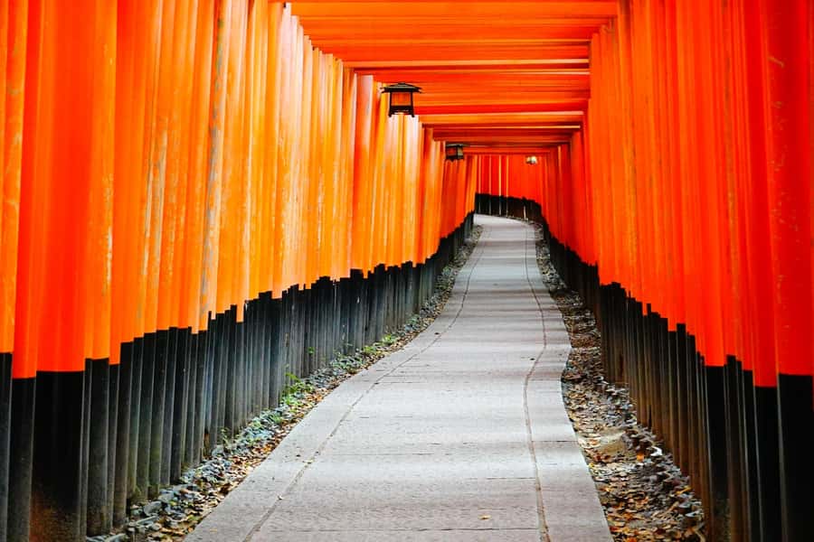 Osaka/Kyoto:Kinkakuji,Arashiyama,FushimiInariShrine,NaraPark - Nara Park and Todai-ji: deer first, then the Great Buddha