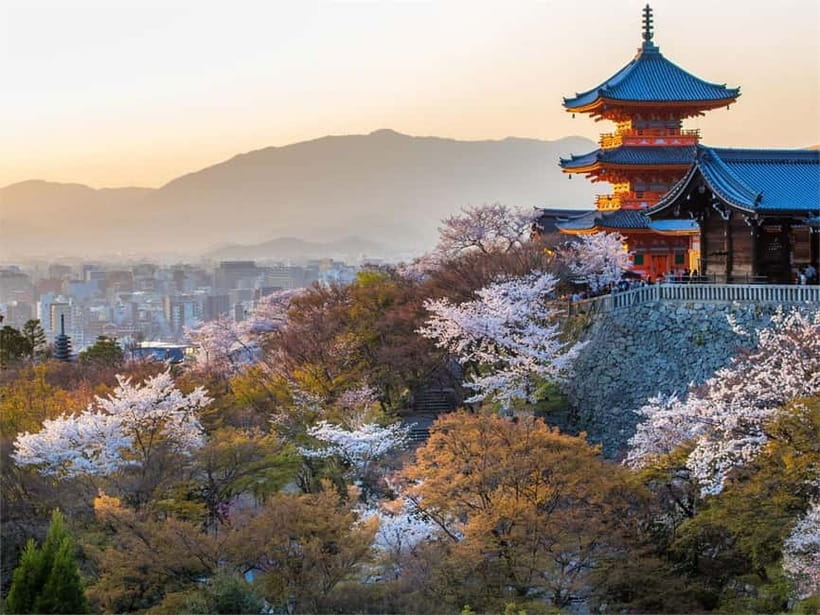 Osaka: Kyoto & Uji Historical Sites and Scenic Delights Tour - Price and Value: Is $54 a Good Deal?