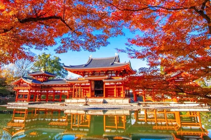Osaka: Nara and Uji Day Trip with Deer Park and Hot Spring - Key Things to Know Before You Go