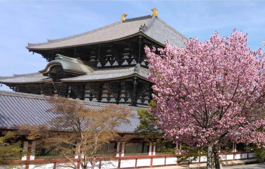 Osaka: Nara and Uji Day Trip with Deer Park and Hot Spring - Morning Start From Namba, Plus How to Avoid Stress