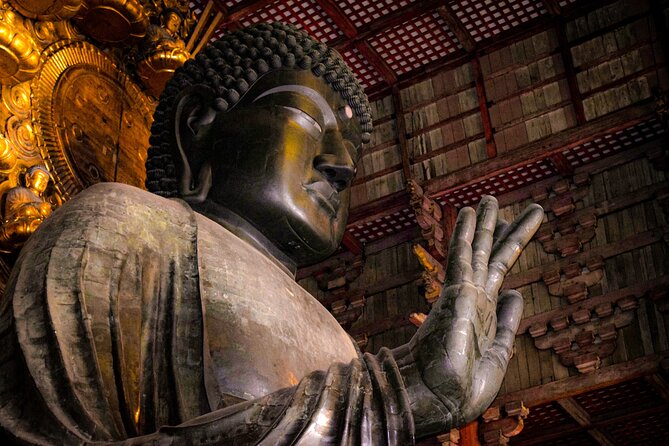 Osaka & Nara in 1-Day by Private Van with Local Expert Guide - Key things that make this Osaka and Nara private van day work