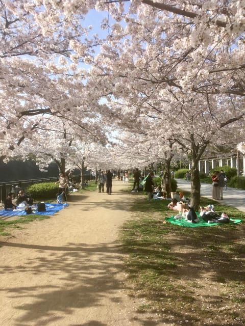 Osaka: Private and Fully Customized Tour with Hotel Meet Up - Key things to know before you go
