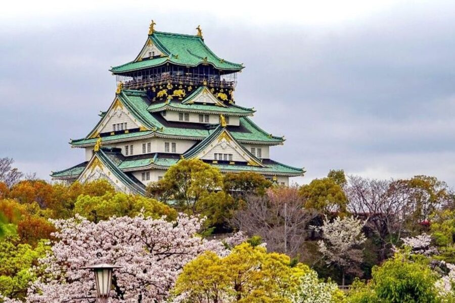 Osaka: Private Custom Walking Tour with a Local Guide - Who This Tour Suits Best (And Who Might Prefer Something Else)