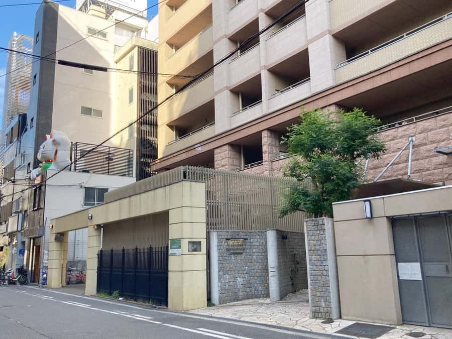 Osaka: Ramen and Gyoza Cooking Class in Dotonbori - Who Should Book This Class (and Who Might Not)