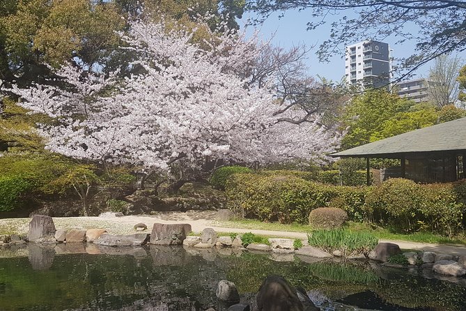 Osaka’s Best and Brightest: Private Full-Day Tour by Vehicle - Kuromon Market: A Quick Hit That Works Even When You Are Not Eating