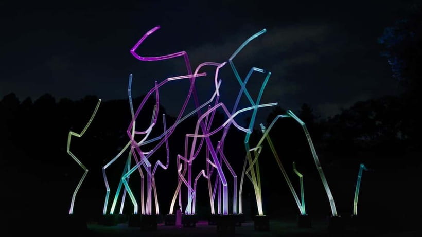 Osaka: teamLab Botanical Garden Entry Ticket - Key Things I’d Focus On Before You Go