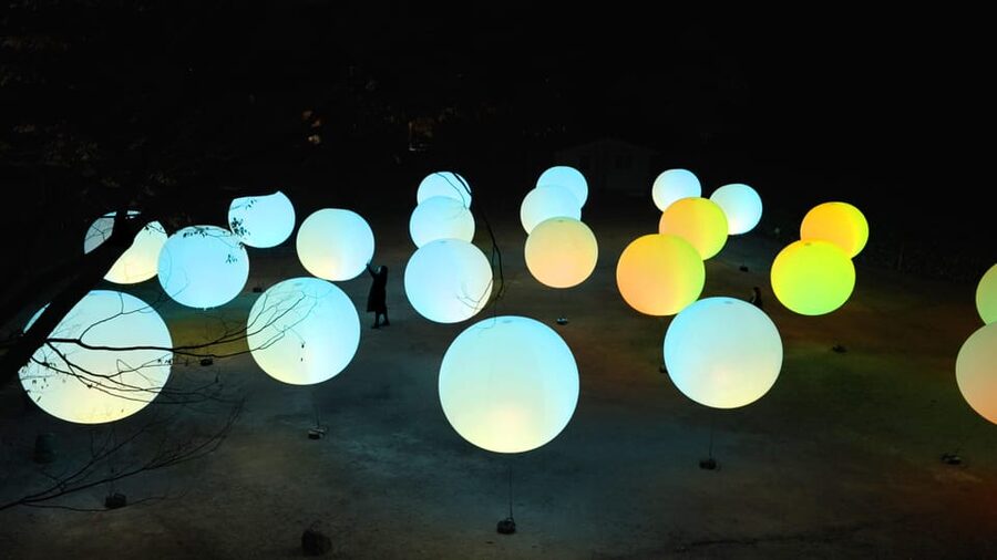 Osaka: teamLab Botanical Garden Entry Ticket - Small Details That Make It Better: Pace, Respect, and Staff Help