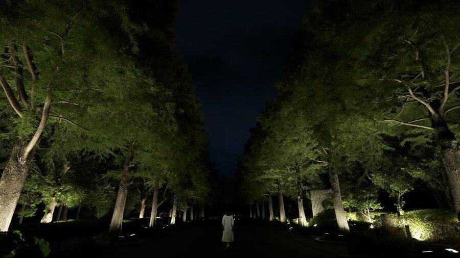 Osaka: teamLab Botanical Garden Entry Ticket - Light and Sound Art That Changes as You Move