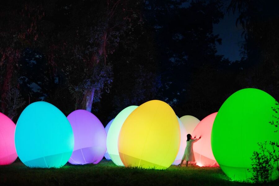 Osaka: teamLab Botanical Garden Entry Ticket - Timing the Night Right: Go Early, Then Stay Until You See the Dark