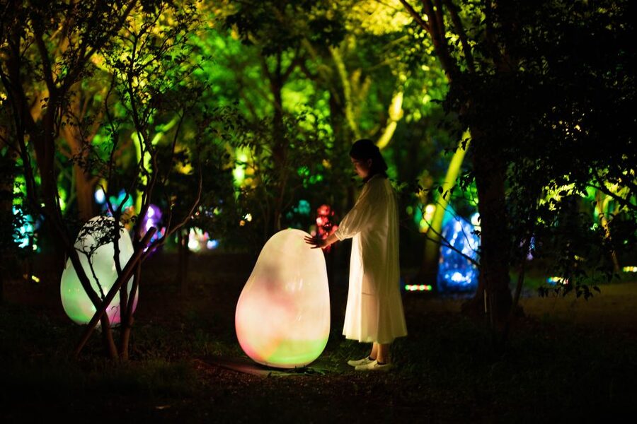 Osaka: teamLab Botanical Garden Entry Ticket - Getting There and Leaving Osaka Without Stress
