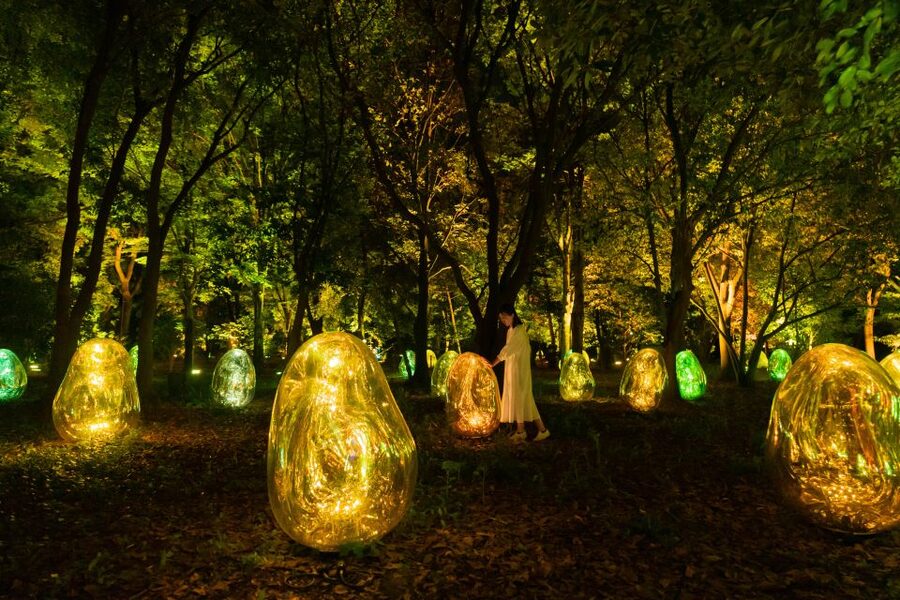 Osaka: teamLab Botanical Garden Entry Ticket - What to Pack: Shoes, Bug Spray, and Clothing That Works After Dark