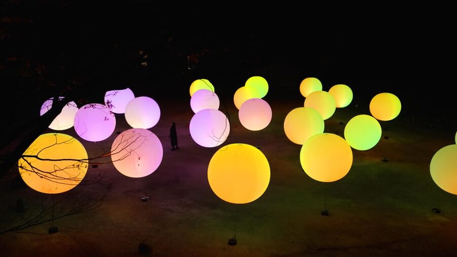 Osaka: teamLab Botanical Garden Entry Ticket - Who This Experience Fits Best (And Who Should Rethink It)