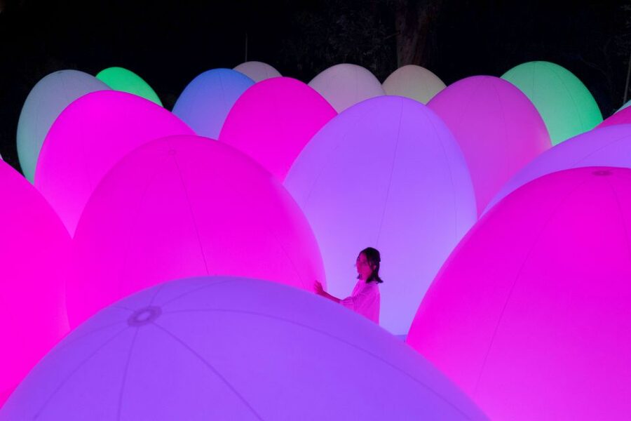 Osaka: teamLab Botanical Garden Entry Ticket - Daytime Walk: Getting Your Bearings in a Real Botanical Garden