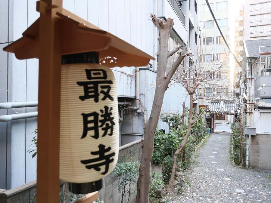 Osaka Temple Cool Foot Bath & Matcha Experience〈45min〉 - The Tea Ceremony and Wagashi: What You Learn Beyond the Cup