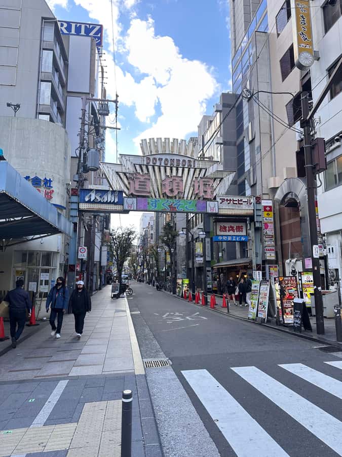 Osaka: Visit the must-see places. - Who should book this tour, and who should skip it