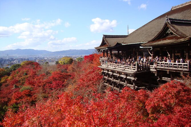 PERFECT KYOTO 1-Day Bus Tour - Key things that make this tour work