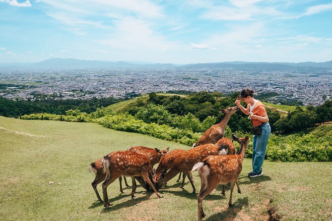 Perfect Nara Park Half-Day Bus Tour with English Speaking Guide - Todaiji Temple: Nandaimon Gate and the Great Buddha Hall
