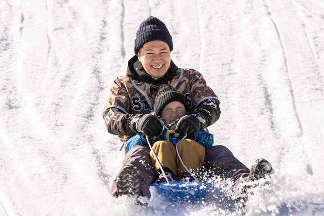 Play with Snow Crab Buffet Lunch and Strawberry Picking Bus Tour - Mt. Rokko Snow Park: fresh air, real snow play, and easy enjoyment