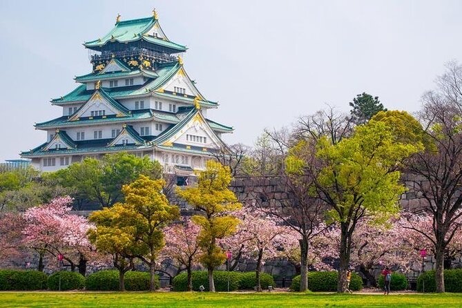 PRIVATE 6hr, Food tour from Osaka Castle, Kuromon, Dotonbori. - Why This Osaka Castle to Dotonbori Private Tour Works