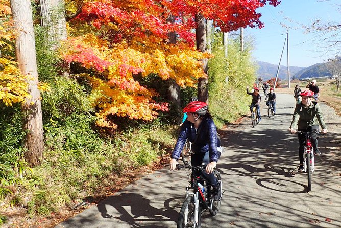 Private Afternoon Cycling Tour in Hida-Furukawa - Why Hida-Furukawa by Bike Works so Well in the Afternoon