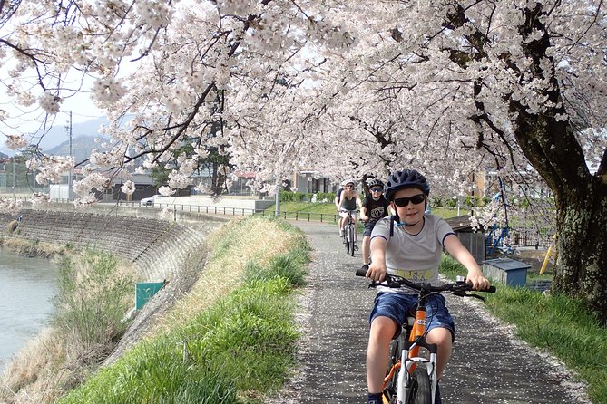 Private Afternoon Cycling Tour in Hida-Furukawa - Entering Local Daily Life: Markets, Old Folk Houses, Tea Stops, and More