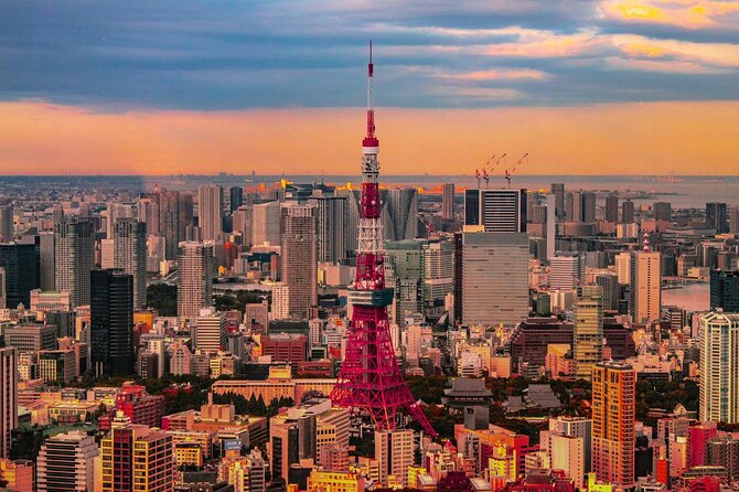 Private and Customisable Tokyo Tour with English Driver-guide - Key things I think you’ll enjoy most