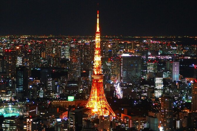 Private and Customisable Tokyo Tour with English Driver-guide - Why a private English driver-guide makes Tokyo feel easier