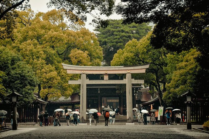 Private and Customisable Tokyo Tour with English Driver-guide - Ueno Park and the Imperial Palace: a calmer rhythm in the middle of the day