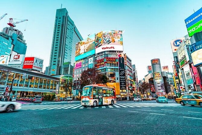 Private and Customisable Tokyo Tour with English Driver-guide - Odaiba by Tokyo Bay: futuristic views and a shopping-and-attractions pocket