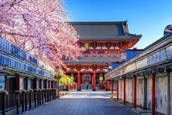 Private and Customisable Tokyo Tour with English Driver-guide - Tsukiji Fish Market to Shibuya Crossing: from seafood energy to modern Tokyo momentum