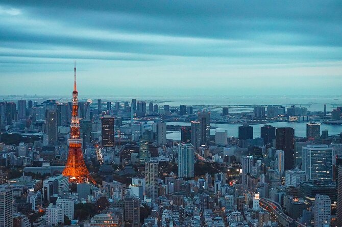 Private and Customisable Tokyo Tour with English Driver-guide - The 9-hour flow, plus how the day stays flexible