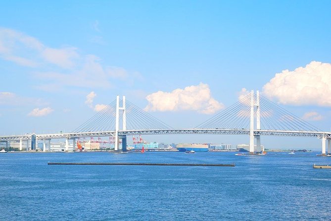 Private Arrival Transfer : Haneda Airport to Yokohama City - The ride itself: what you get in the taxi-style private vehicle