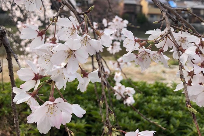 Private car tour in Kyoto (up to 4) - Stop 1: Kiyomizu-dera for temple views and classic souvenirs