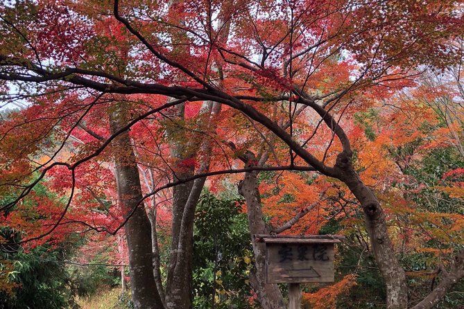 Private car tour in Kyoto (up to 4) - Stop 5: Gion for the geisha district atmosphere and evening mood